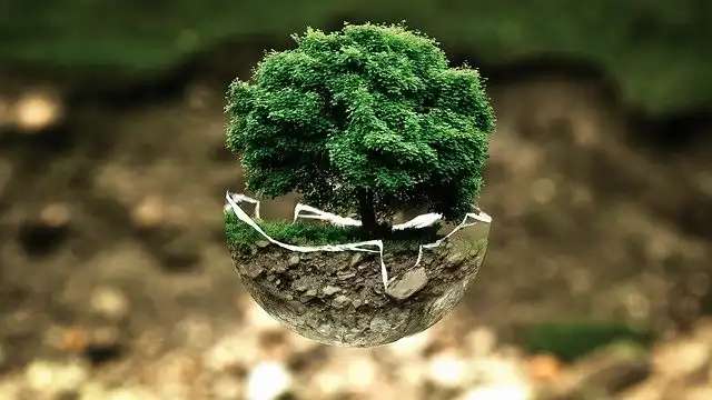 Imagen de la carrera Gestión Ambiental